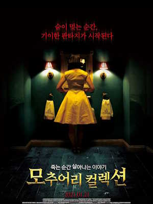 모추어리 컬렉션