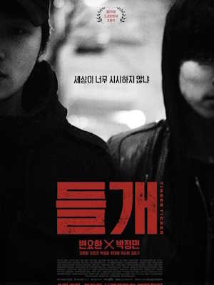 들개